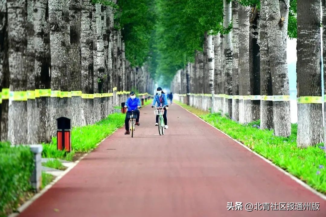 新生活体育健身器材,体育健身器材及运动场地和设施