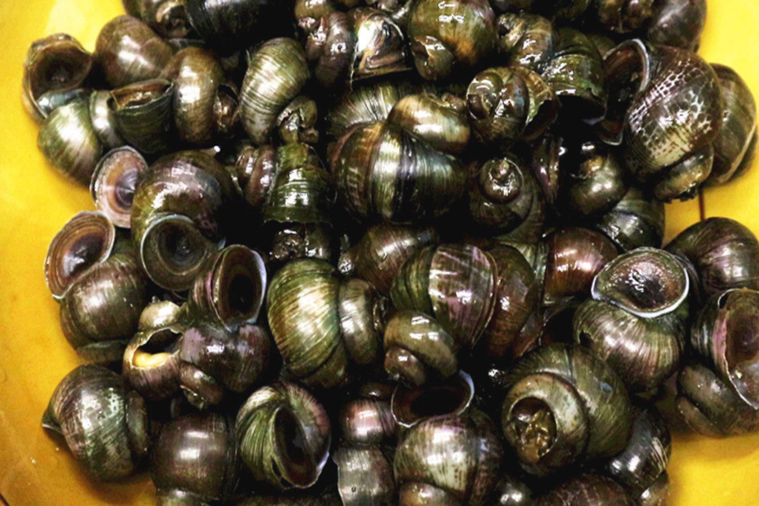 烧烤店必备的10道炒菜,去烧烤店必点的十道菜