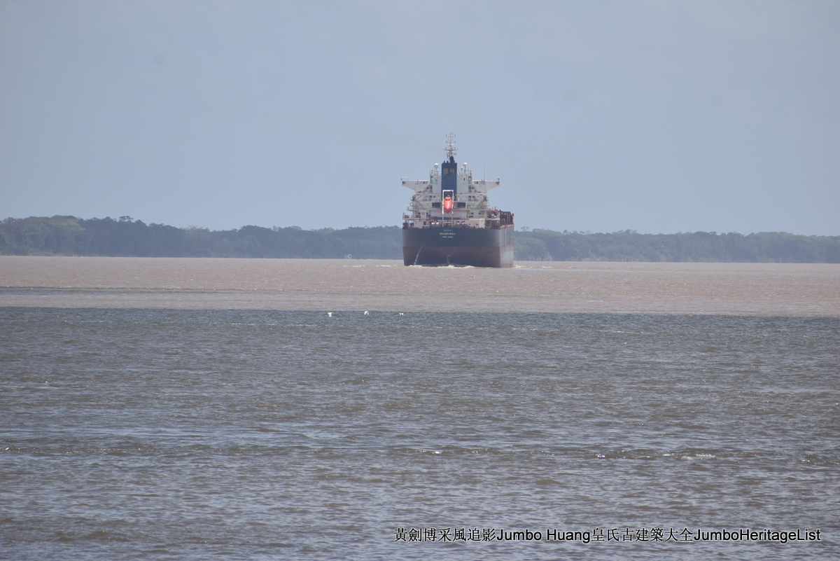 第5047回：消失的亚马逊文明，流失的林下聚居地