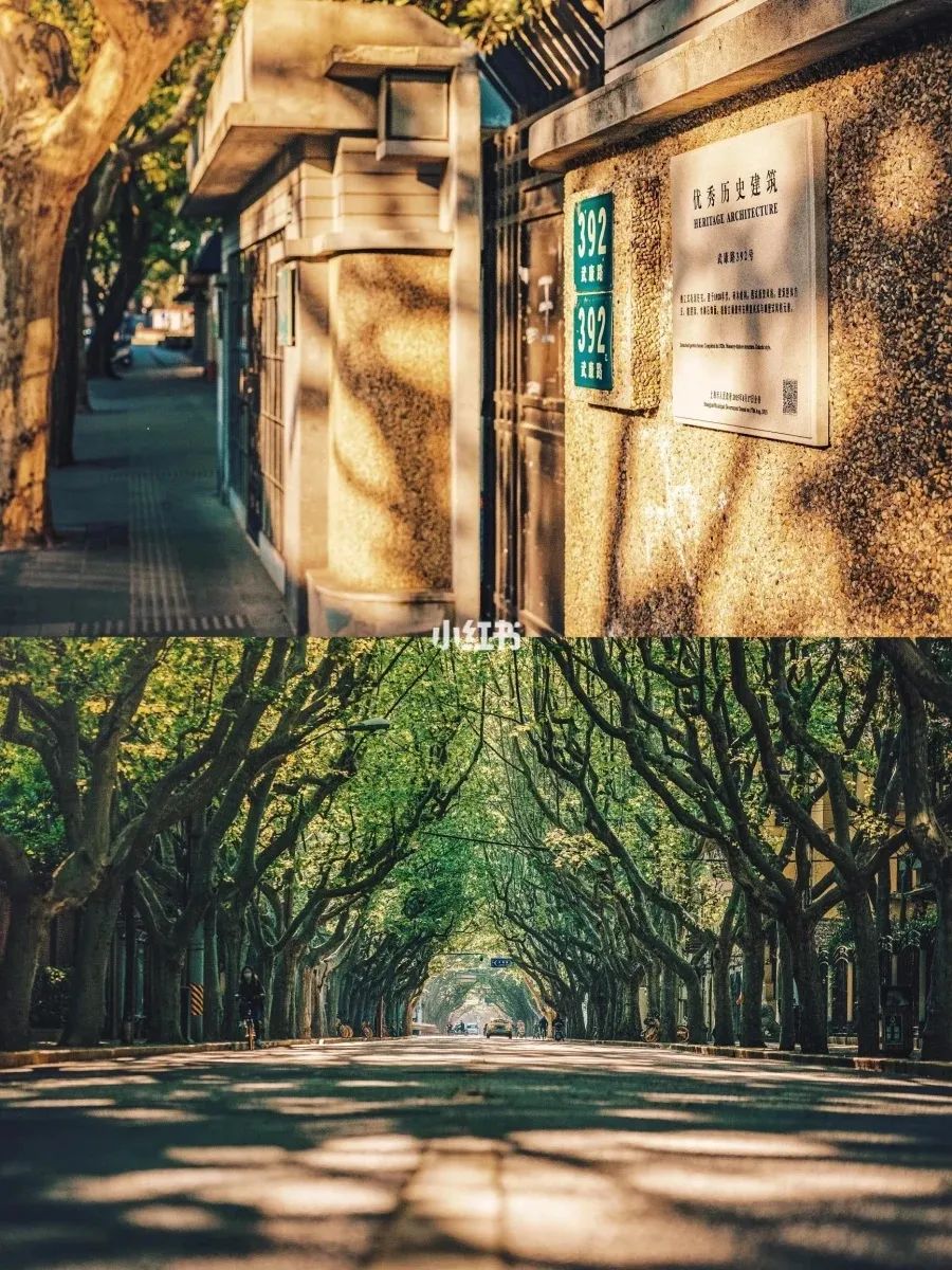 上海国际路亚展第三天,上海路亚展