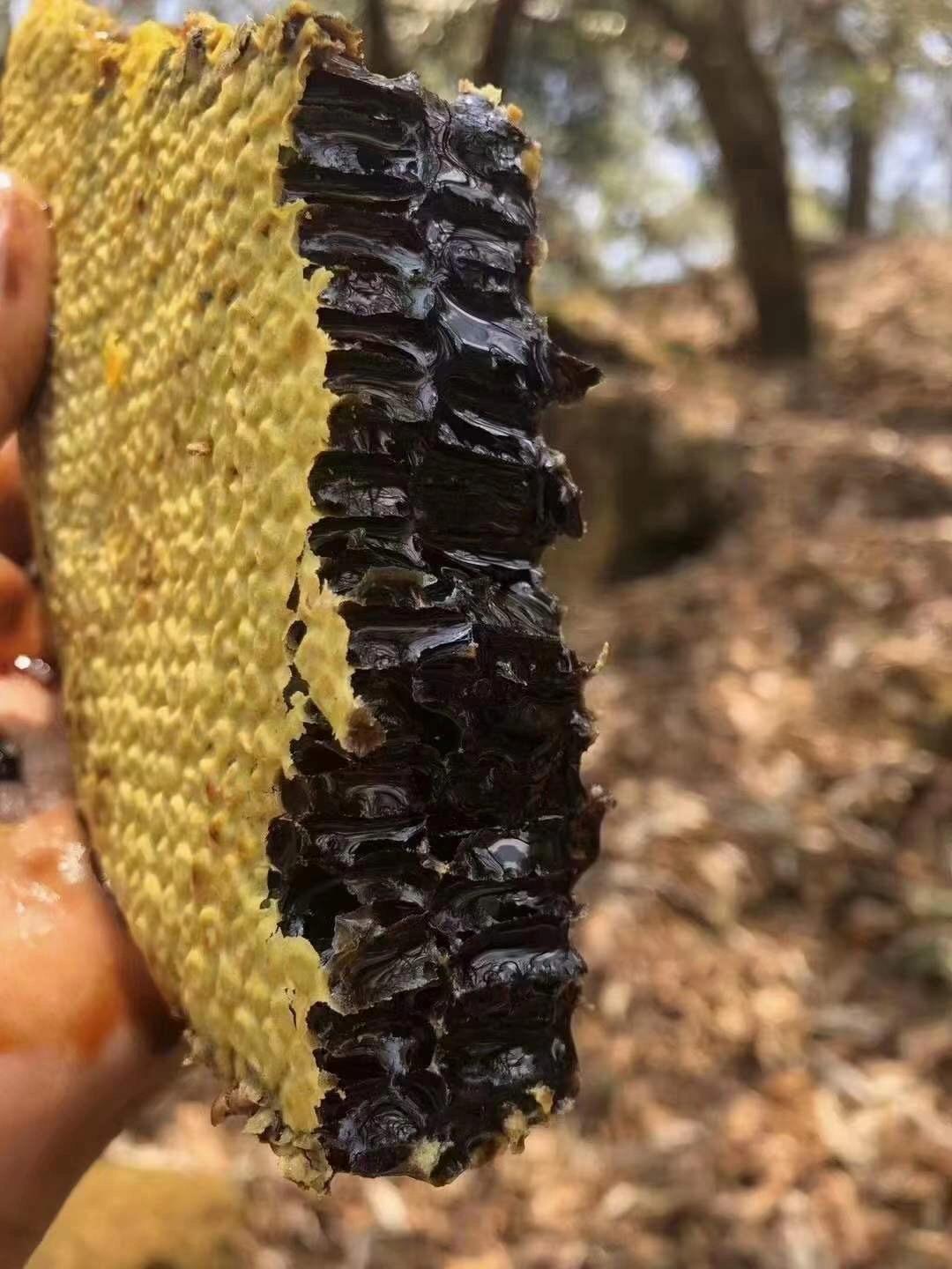 白蜂蜜和黑蜂蜜有啥区别,黑蜂蜜是好蜂蜜