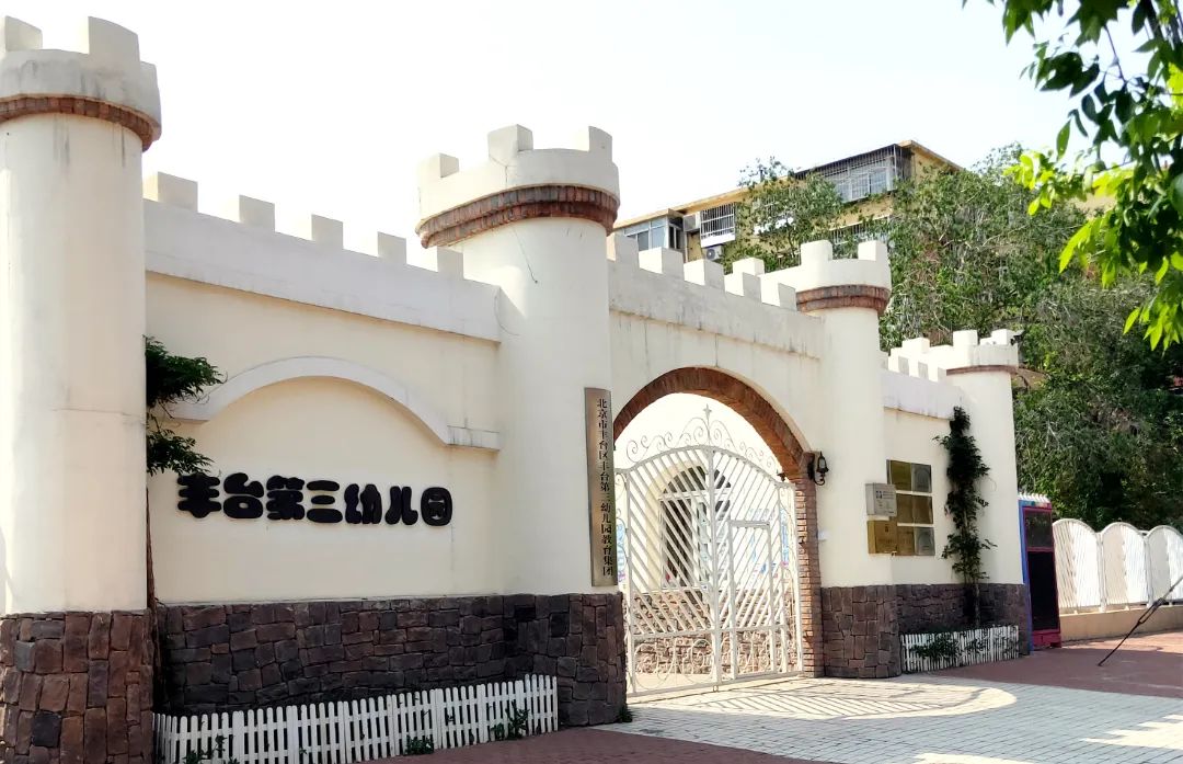 党建引领助推幼教发展,党建引领学前教育高质量发展