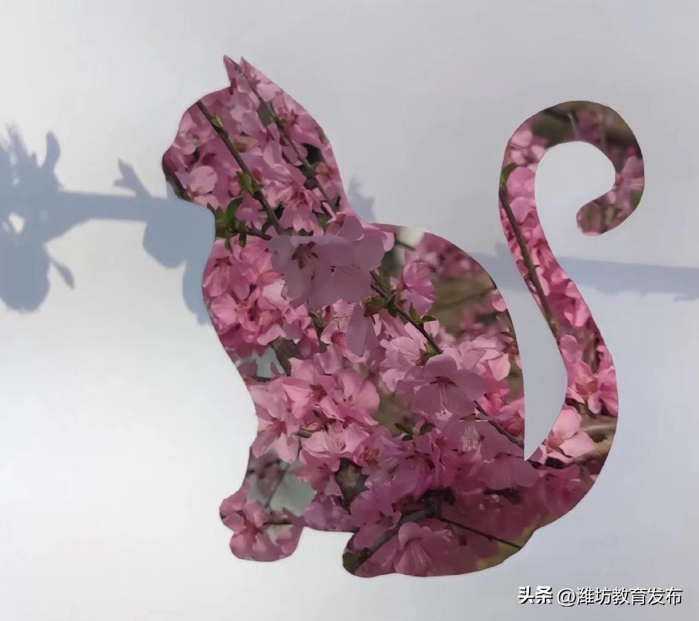 美！潍坊校园春景强势来袭