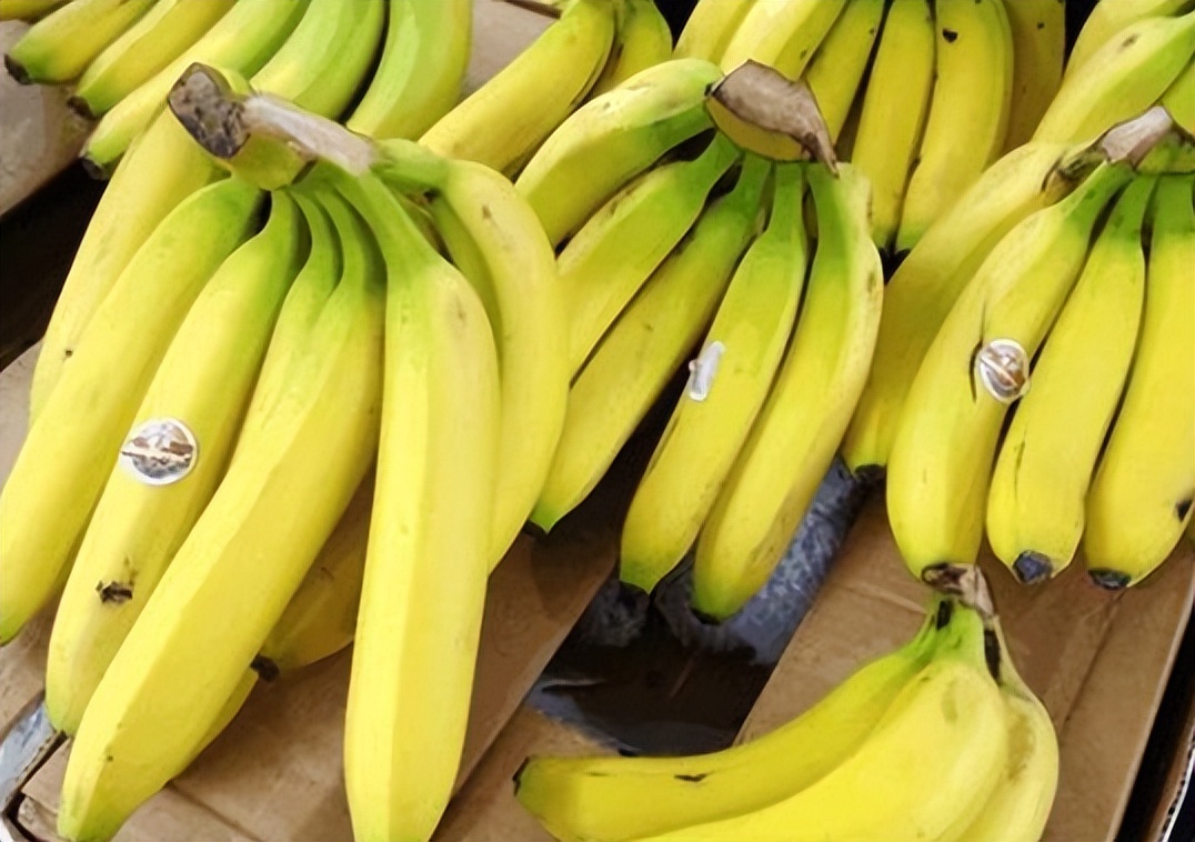 在中国用来喂猪的玉米芯,在中国喂猪的玉米棒子