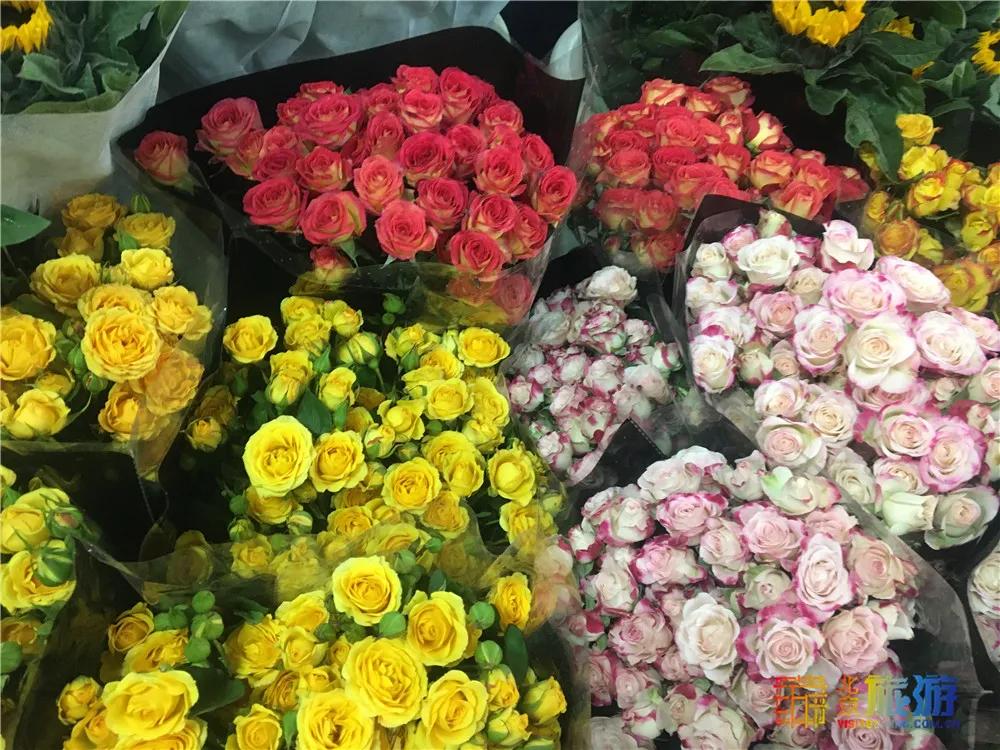 京南永清花卉批发市场,京南花卉批发市场