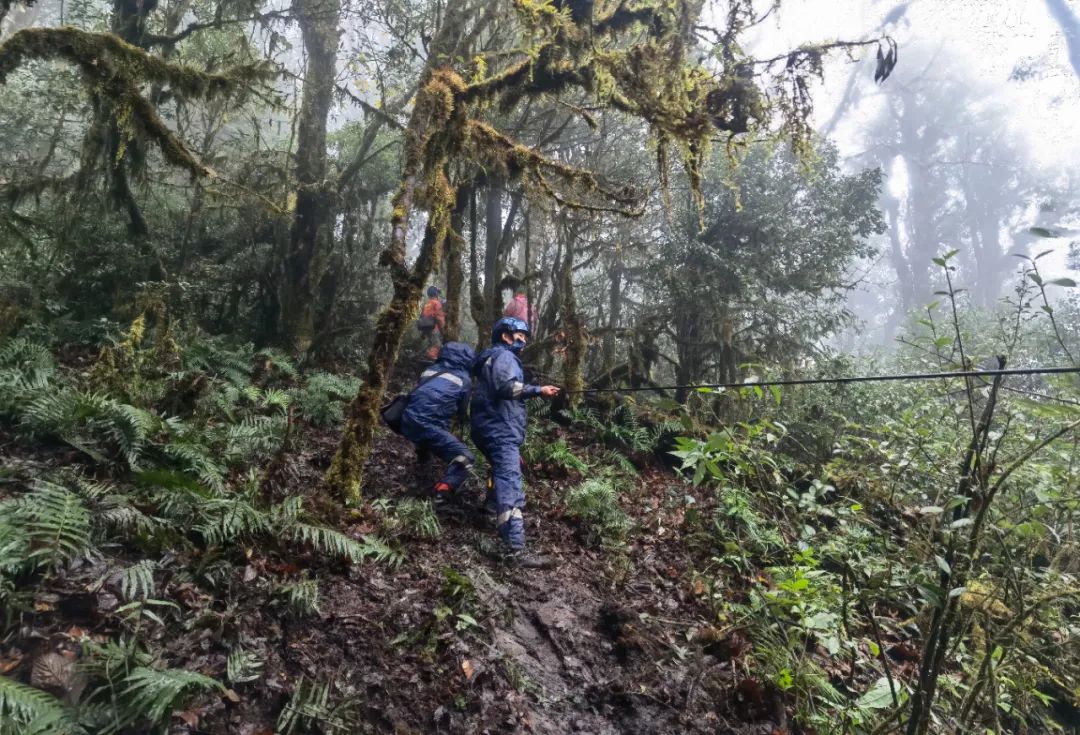 森林消防员应该怎么考,云南森林消防员训练