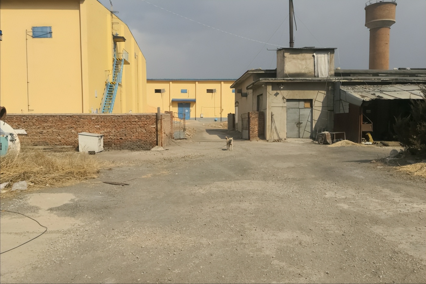 挂面大王陈克明河北捐钱没有,挂面大王陈克明的故事