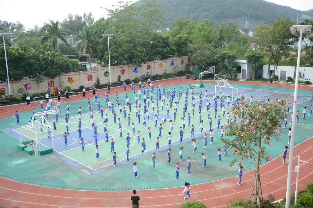 大鹏新区五好单位建设,大鹏新区教育和卫生健康局