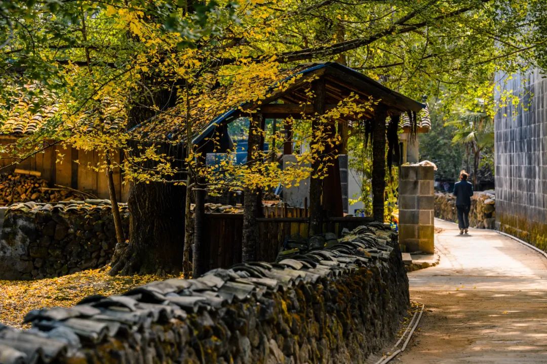 腾冲出游,腾冲诗和远方