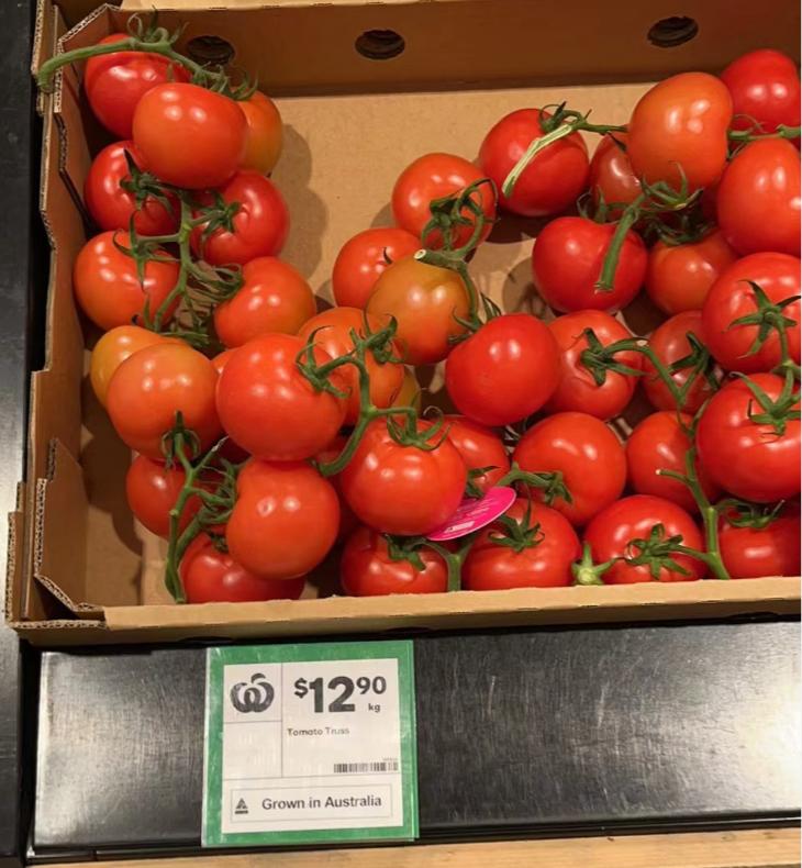 在澳洲留学一年要多少生活费,在国外留学父母不知道的事