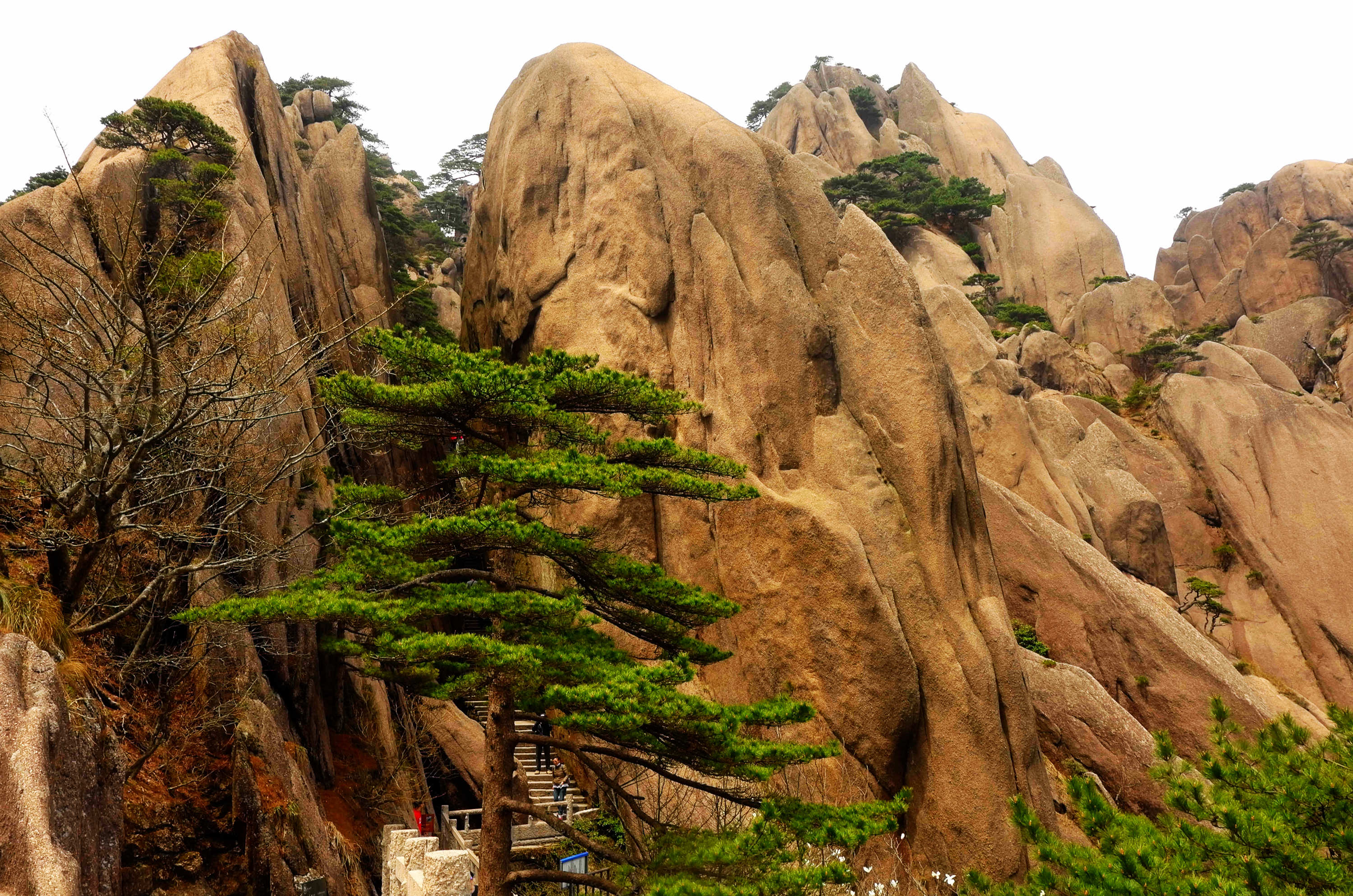 黄山天都峰会走鲫鱼背吗,黄山天都峰鲫鱼背第一视角
