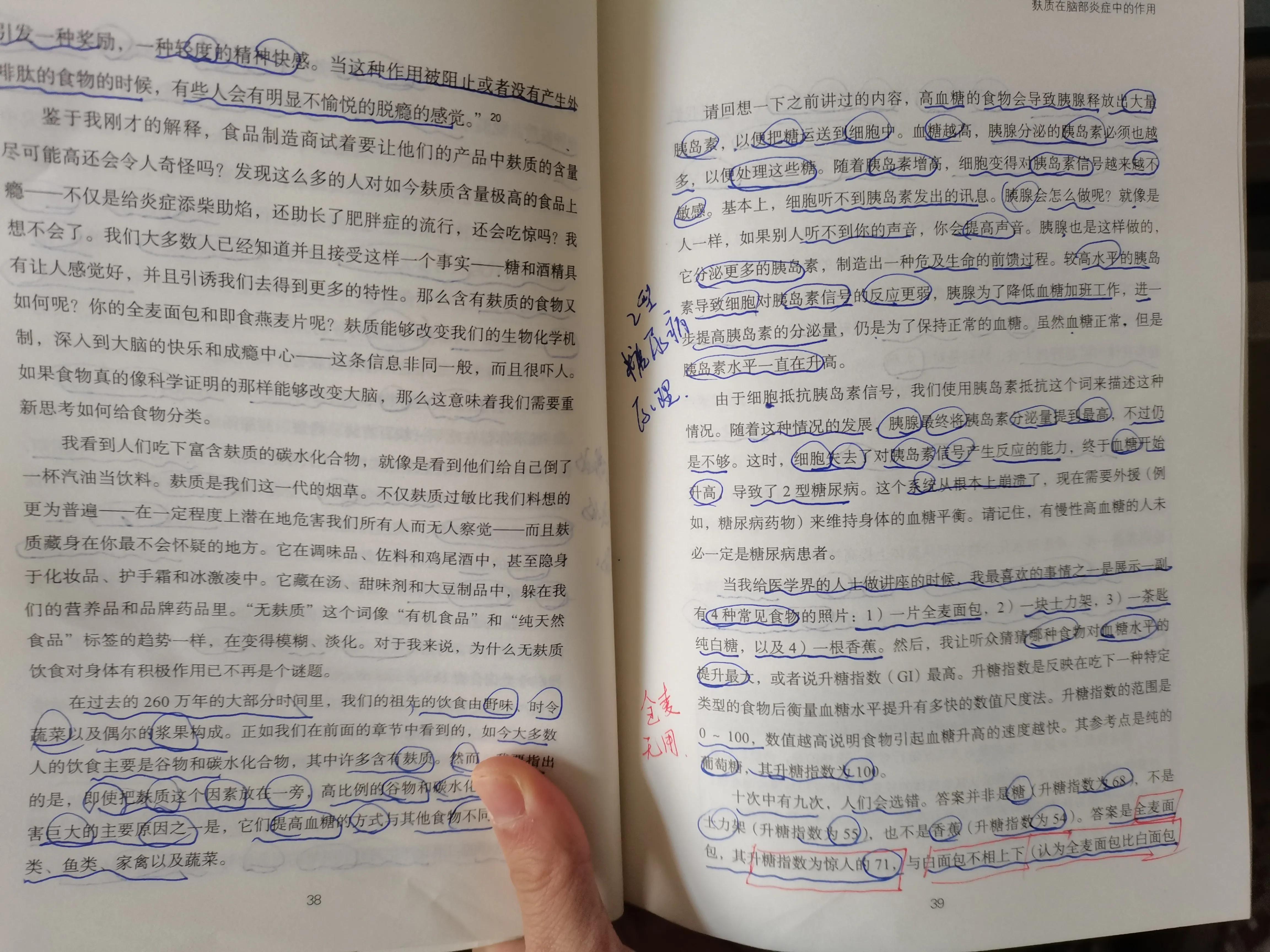 谷物大脑具备权威性吗,谷物大脑有人看过吗