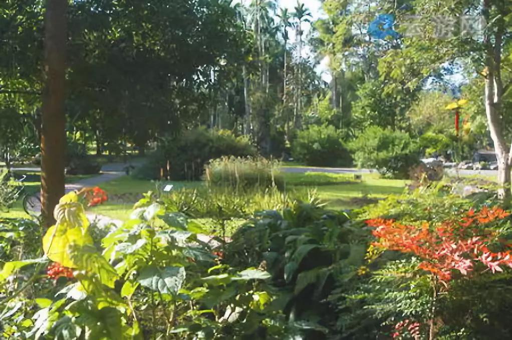 云南西双版纳旅游攻略app,云南西双版纳旅游攻略自由行12月