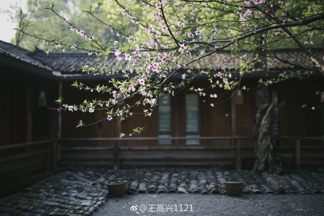 成都周边安静的民宿套房,成都周边清净民宿