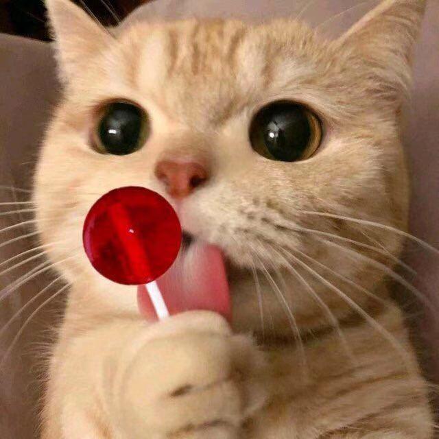 现在珠海报名考驾照多少钱,现在珠海考驾照多少钱呀