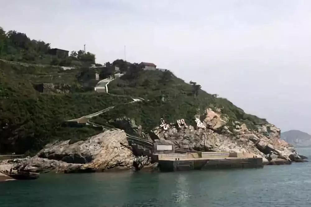 一月山茶花哪个地区最美,赏花山茶花