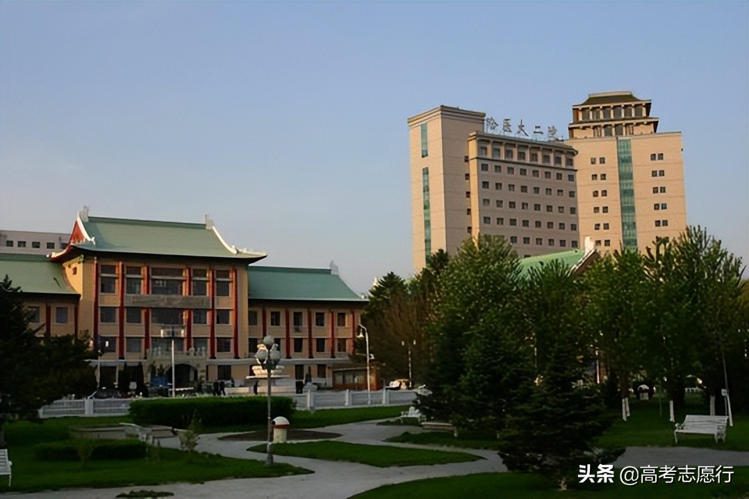 哈医大2020录取线临床医学,哈医大录取分数线2020年