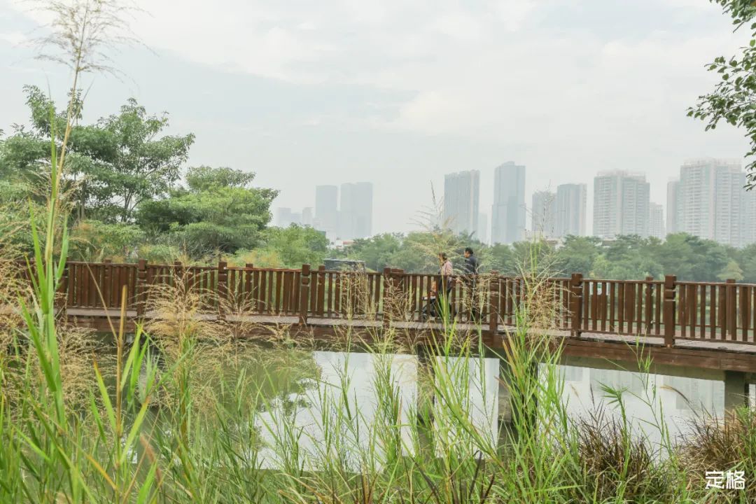 深圳最值得去的十个地方,深圳吃货必去的地方