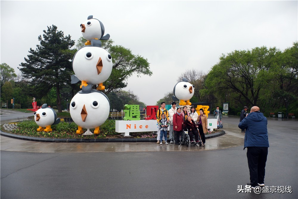 沈阳世博园金秋美景,沈阳世博园一日游详细攻略