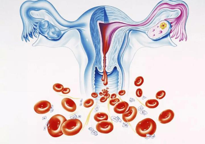 女性绝经会影响夫妻感情吗,女人绝经对夫妻影响怎么弥补