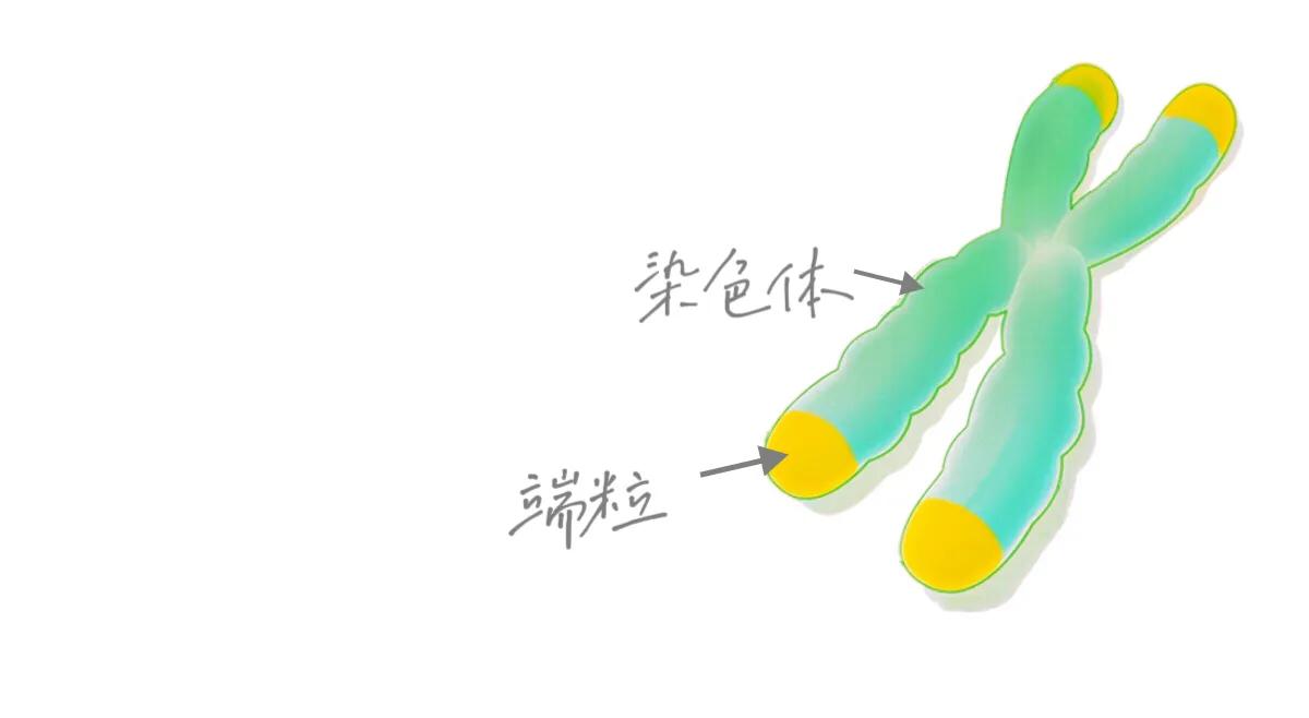 被迫加班,被迫加班的人