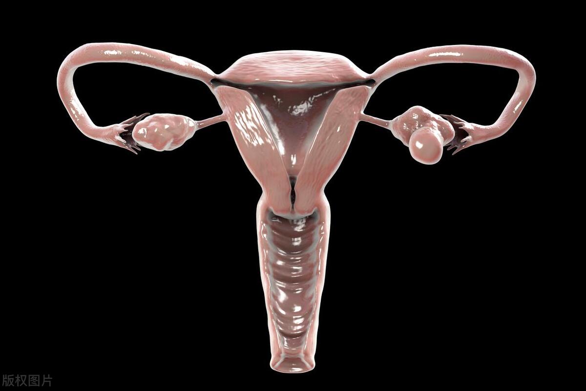 女性下面变松不是小事，这些危害会找上门！2个动作，告别尴尬