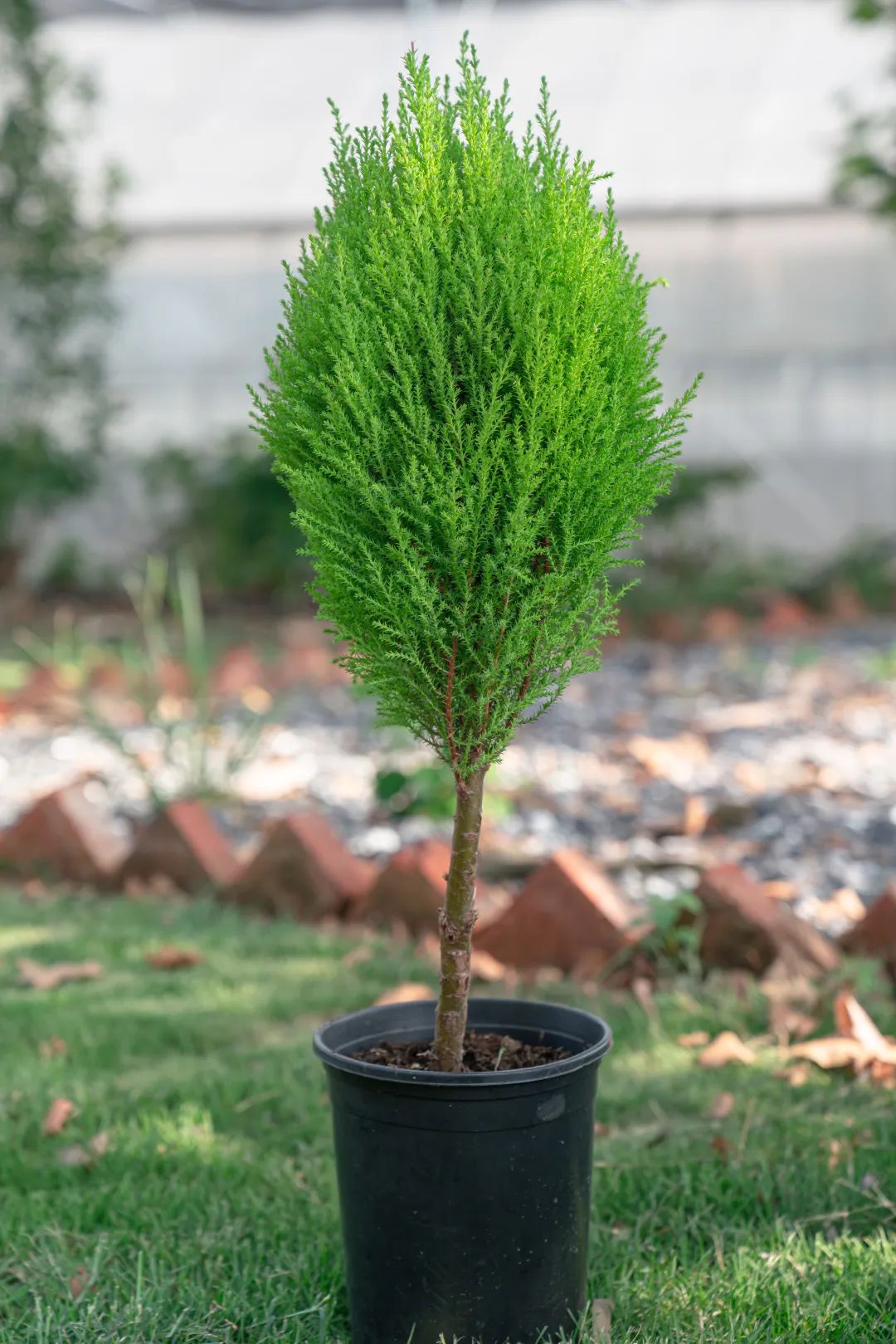 现在去刚好！千亩油画花海等你来采摘