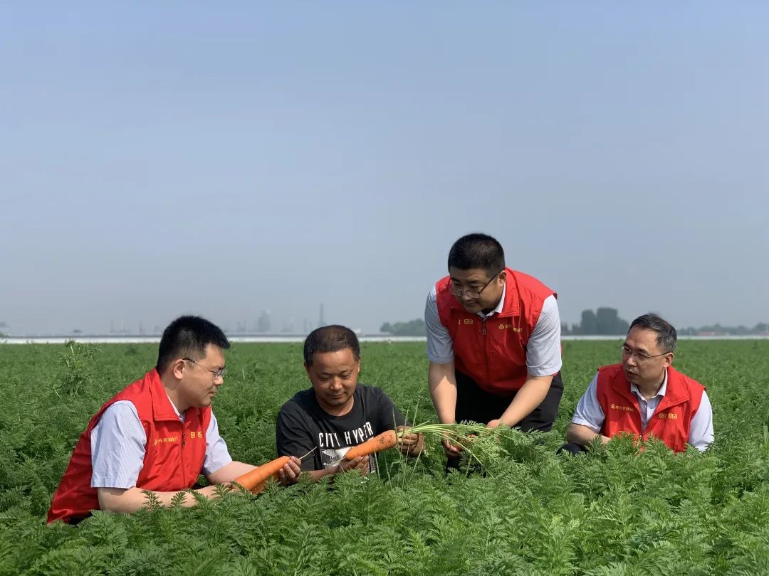 农商银行金融赋能,农商银行支持乡村振兴金融产品