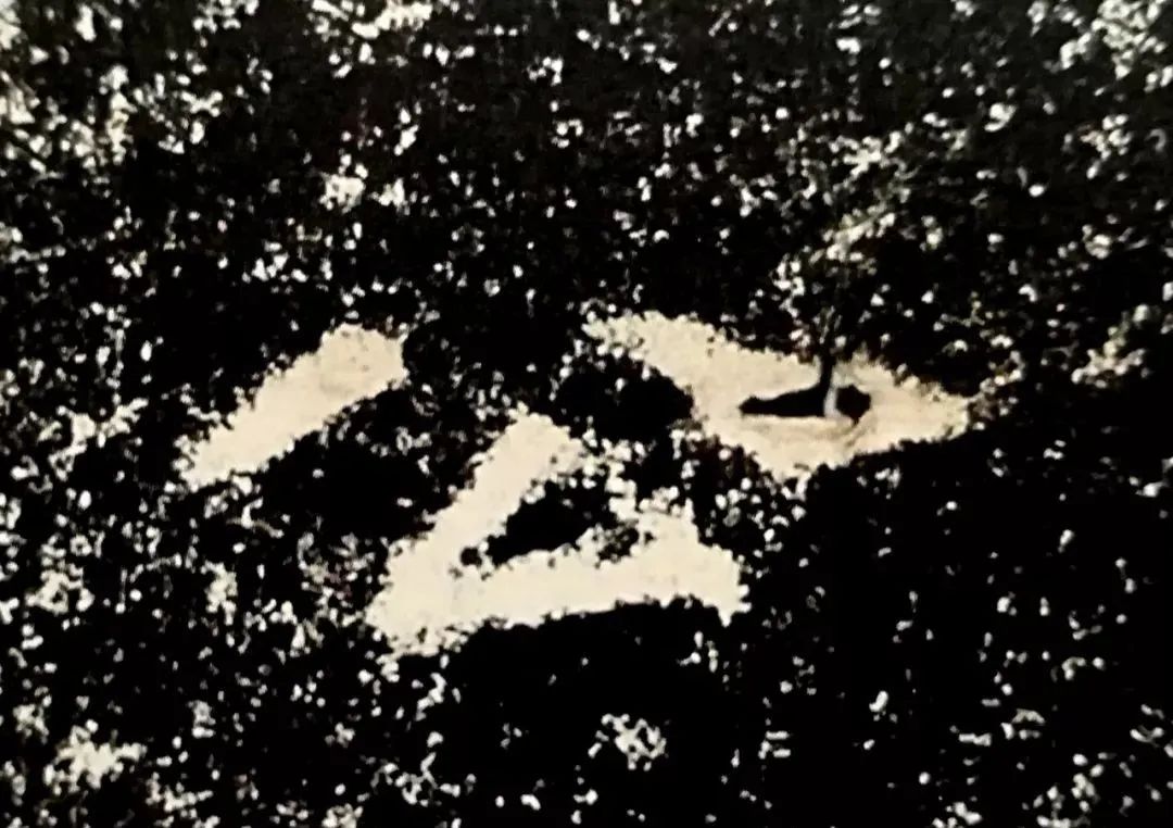 什么是礼乐射御书,御射碑