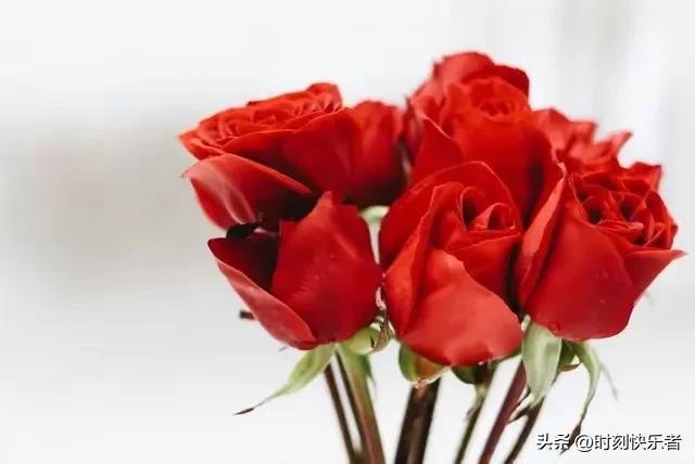 抗战时期国际对中国的援助的影响,抗日战争巴基斯坦援助中国纪录片