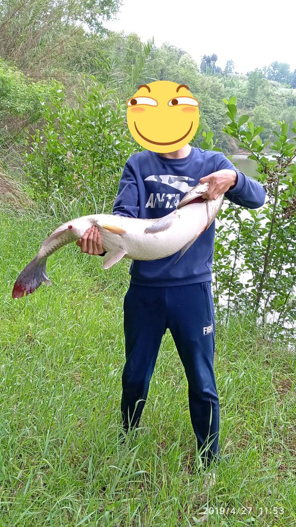 调平水钓两目有口不上鱼,小溪钓鱼有口不上钩咋回事