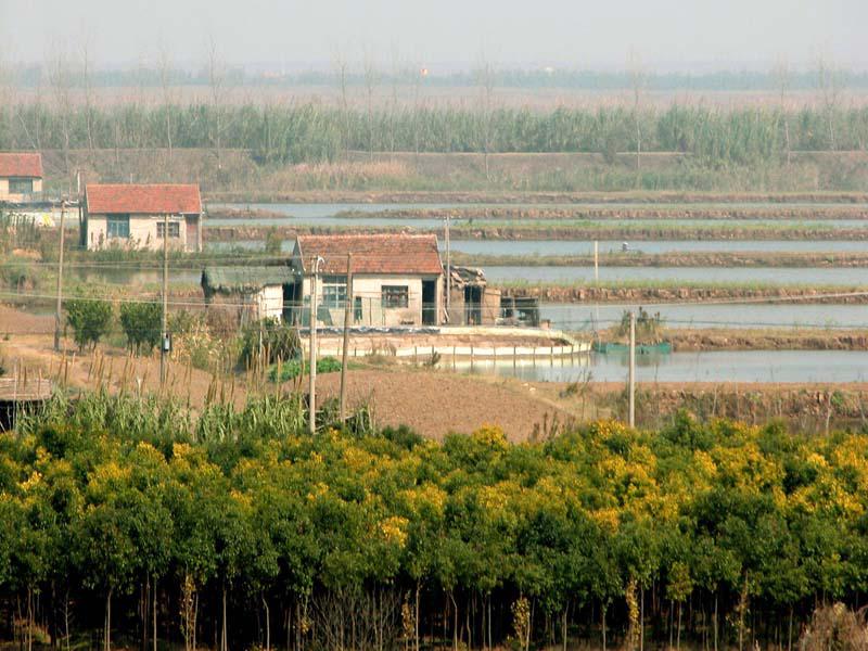 中国第三大岛崇明岛,中国第三大岛崇明岛现状