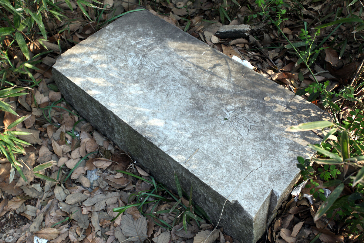 黄金有价情义无价的下一句,黄金有价情义无价视频