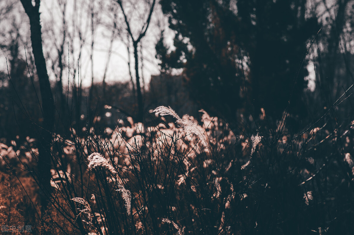 自古人生谁无死丹心照汗青,自古谁无死留取丹心照汗青