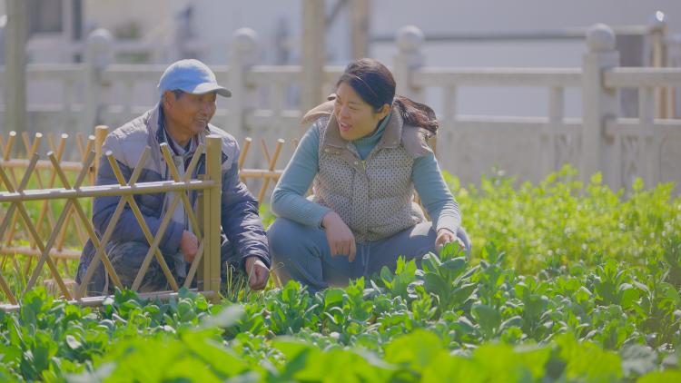 90后听障女生上海郊区“务农”,开拼多多网店“原产地直发”南汇菜