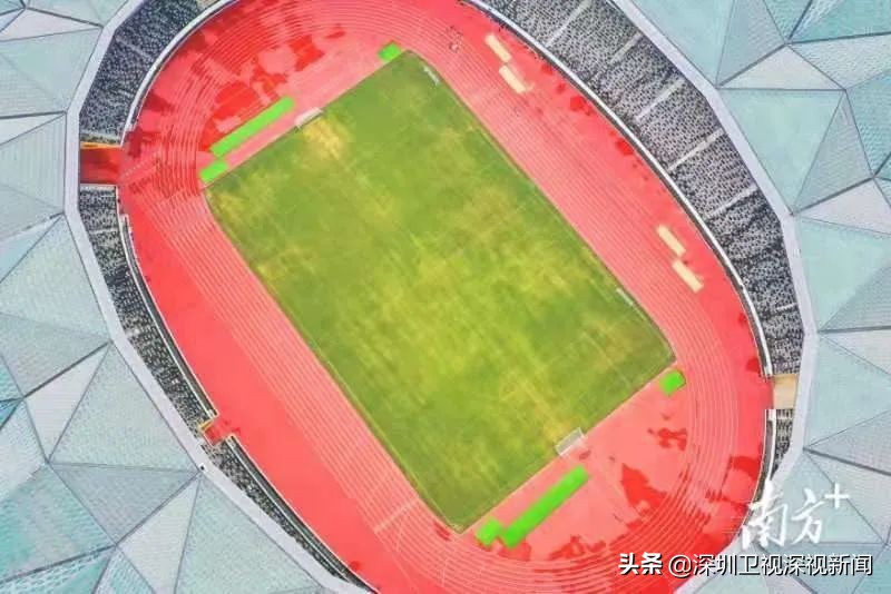 王嘉男“一跳封神”背后，深圳这里成为中国田径队福地