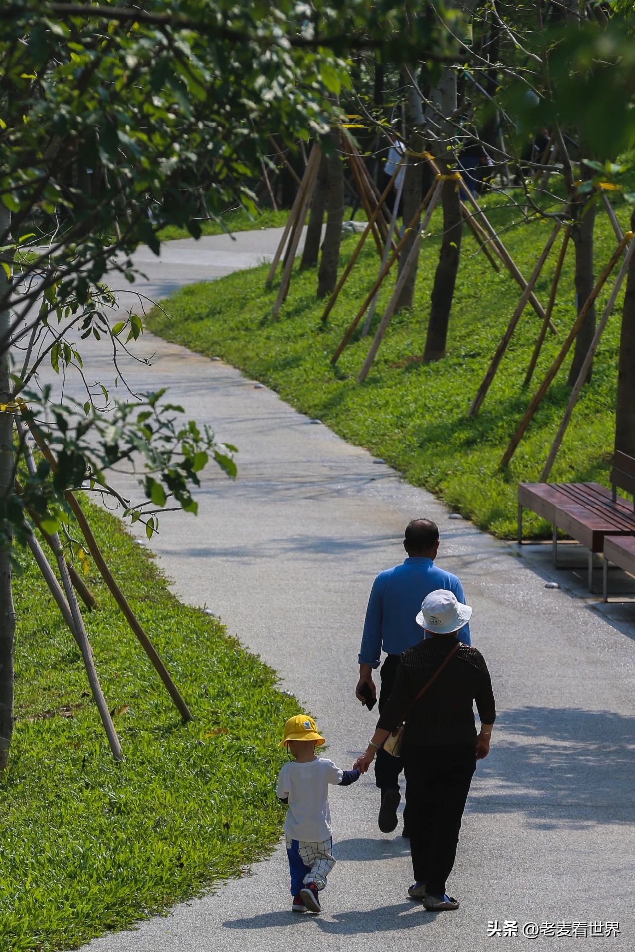 东莞中心公园怎么玩？最全攻略助你通关！五一打卡必备