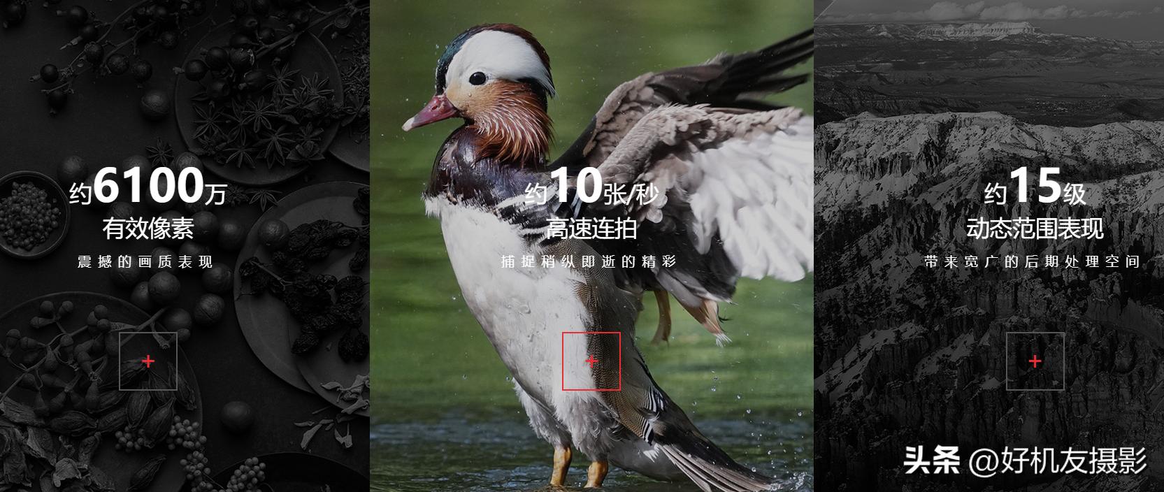 a7r5发布时间,a7r5什么时候发布