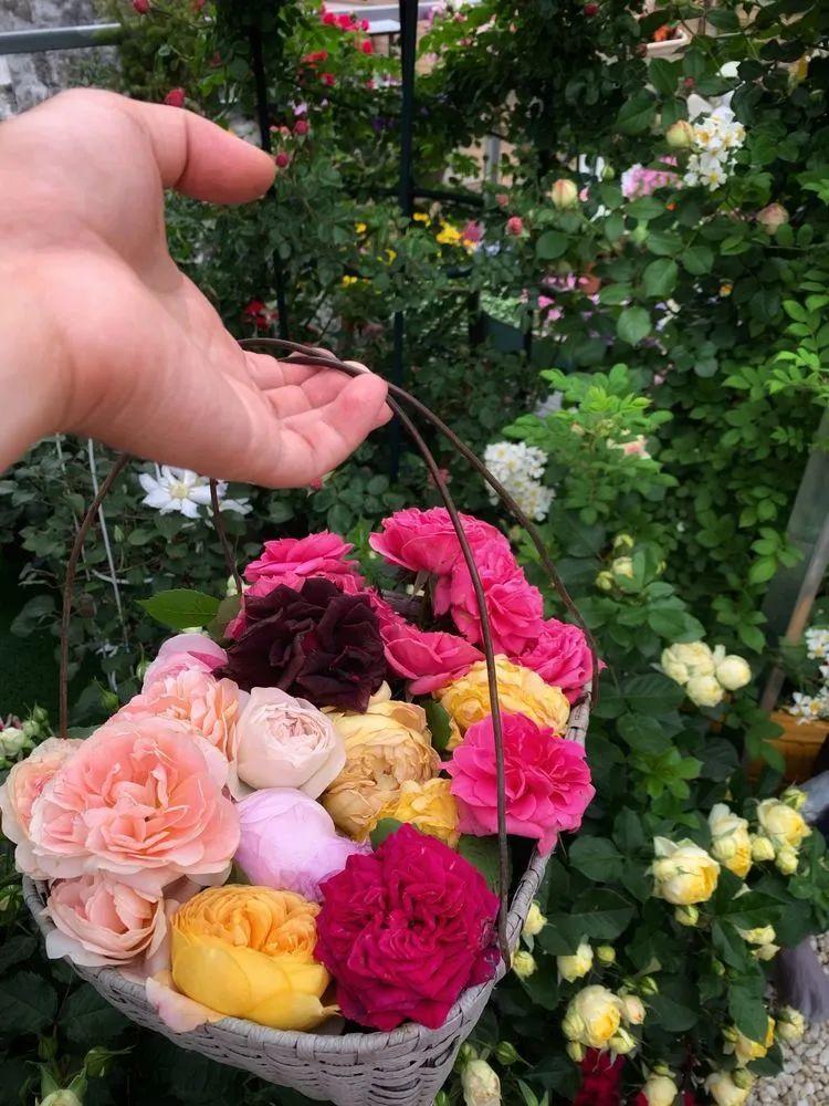 两家共用一个平台怎么解决,两家共用一堵墙发生矛盾怎么处理