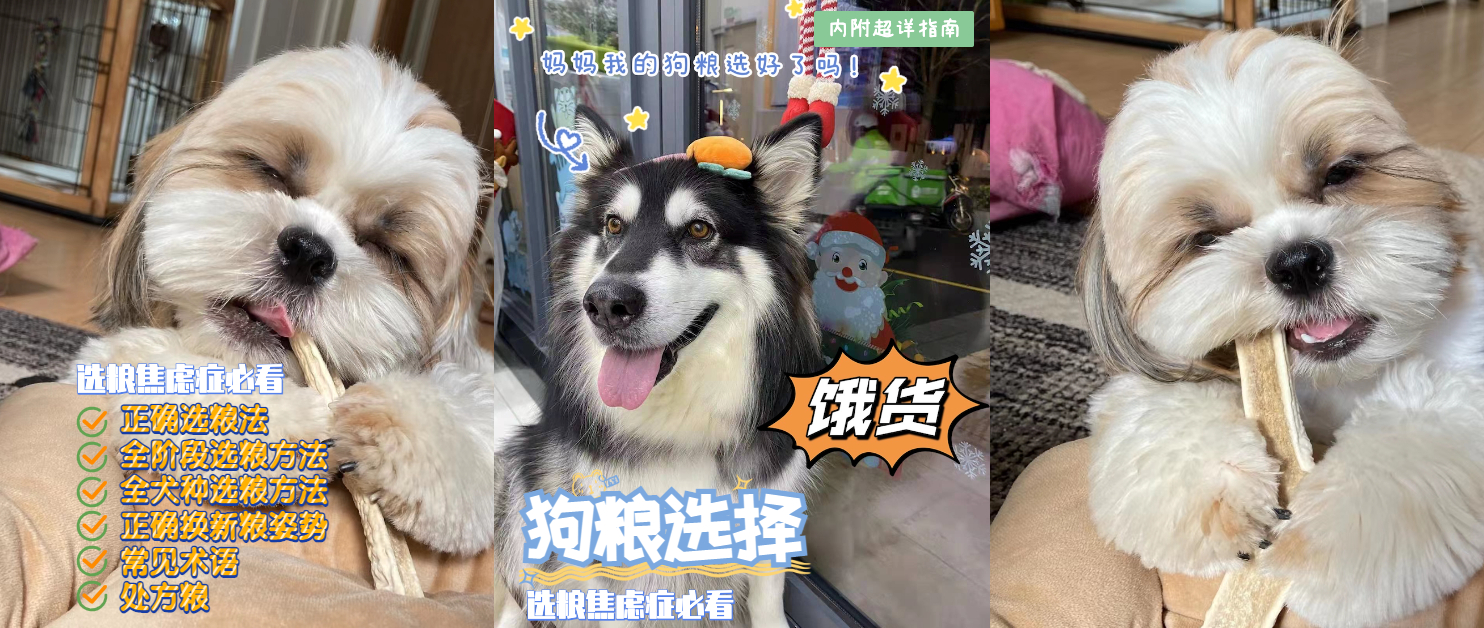 狗粮怎么挑选狗粮避坑指南,狗粮怎么选湿粮和干粮呢