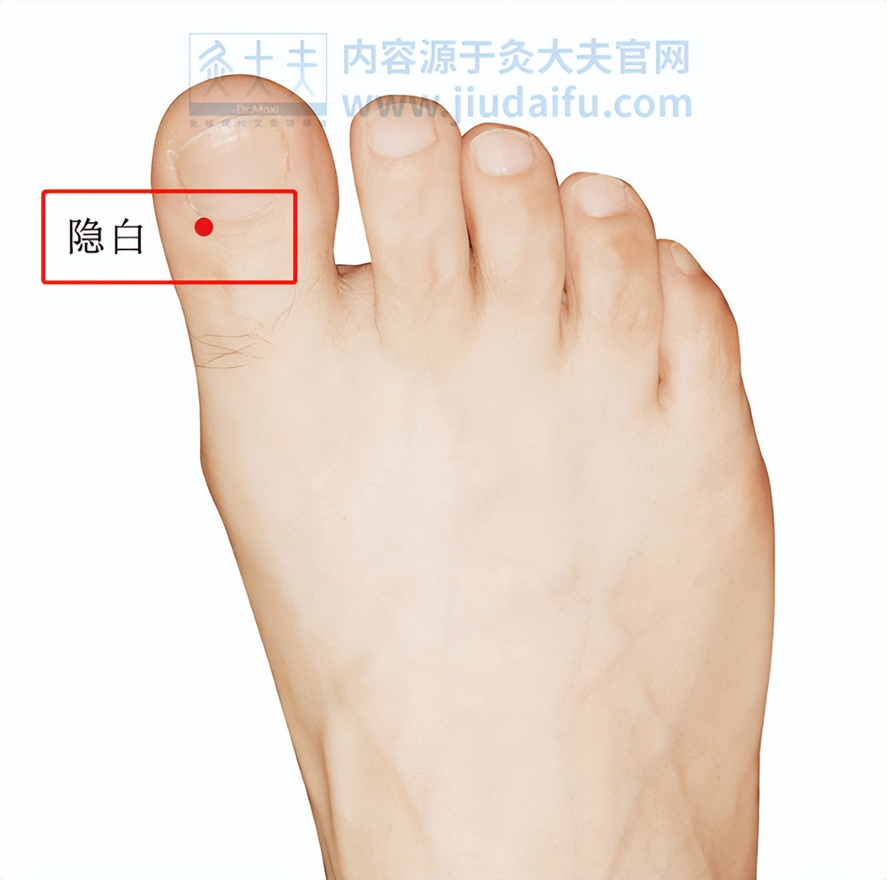 气血不足脸色暗黄按哪个穴位,气血不足脸色暗黄怎么艾灸