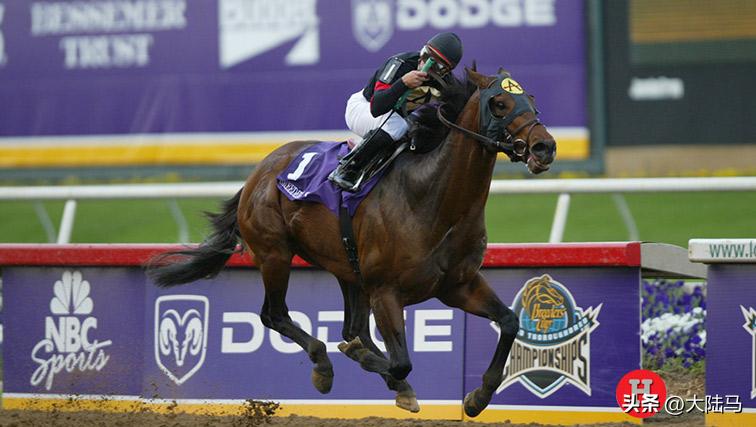 21世纪最伟大比赛,20世纪美国100匹顶级赛马排名