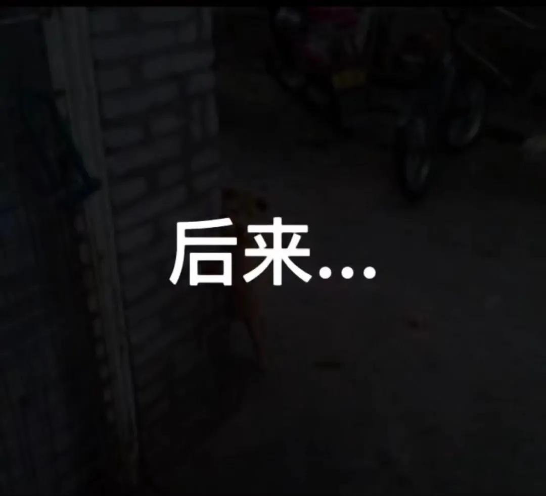 有人说你长得搞笑怎么回 (爆笑问答承担你一天的笑点)