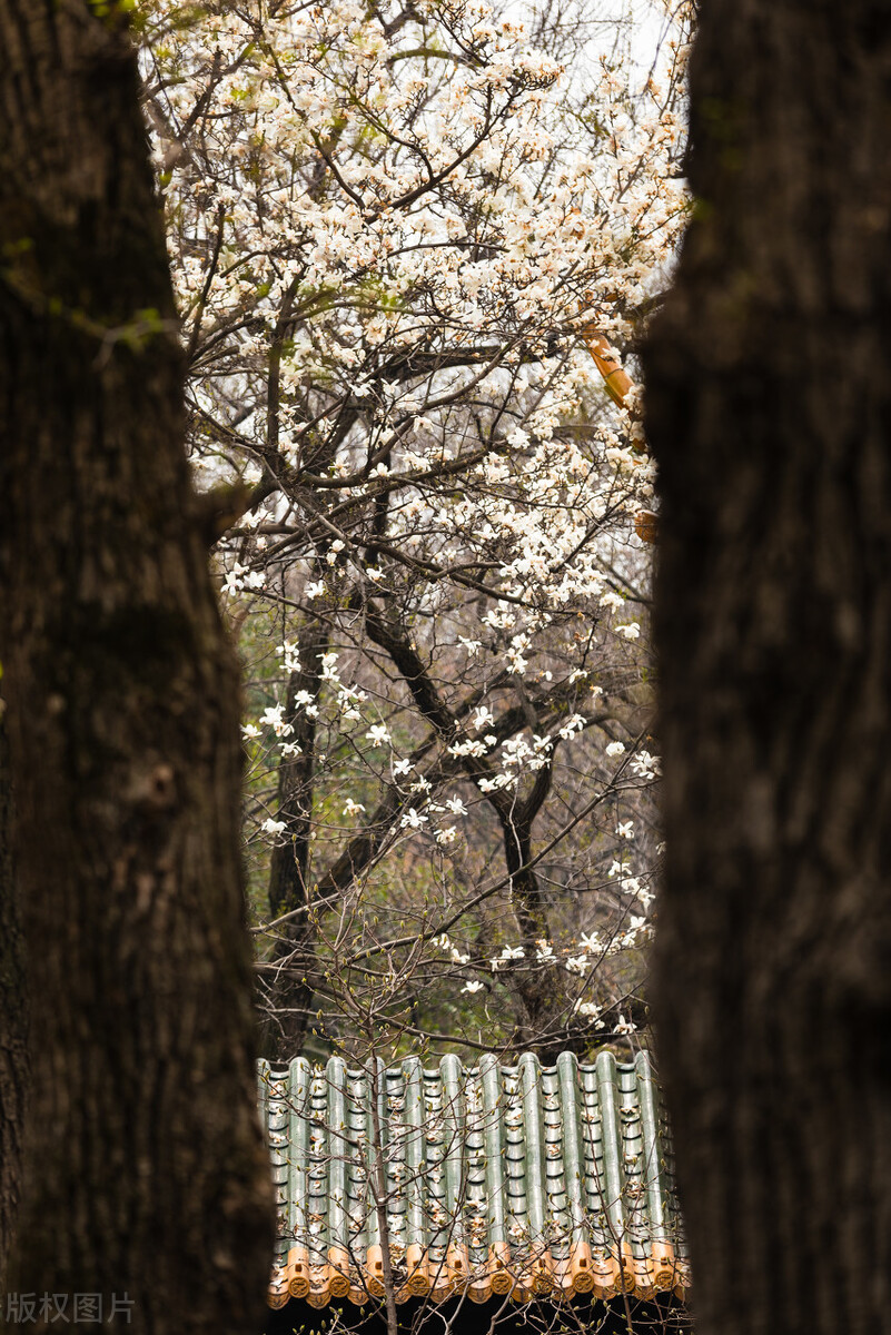 中国唯一“三省省会”,省内万人嫌,省外的台湾却对它情有独钟