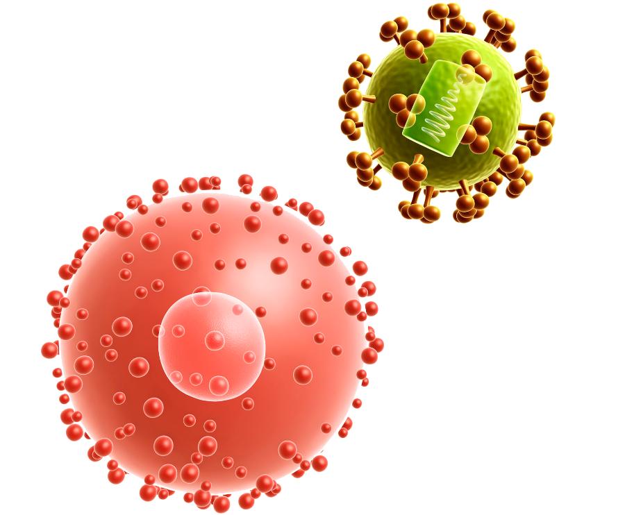 关于艾滋病一定要知道这8点,了解艾滋病传播途径及概率