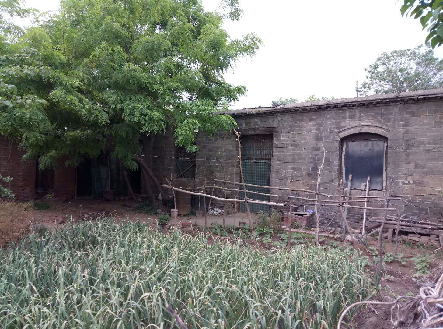 河北：一看穿道道裤子的就知道是宁晋人