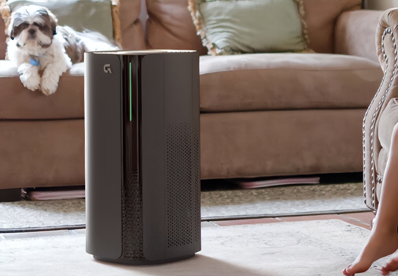 负离子空气净化器哪一款最好,负离子空气净化器排名前十