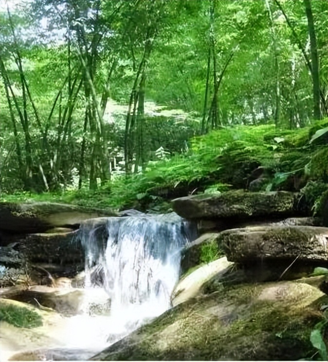 六月一起去邛崃逛古镇看云海日出共赴萤火虫之约