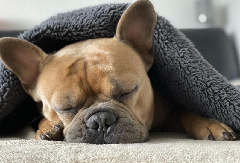 身体缺钠镁钾会导致什么,身体缺镁铁会咋样