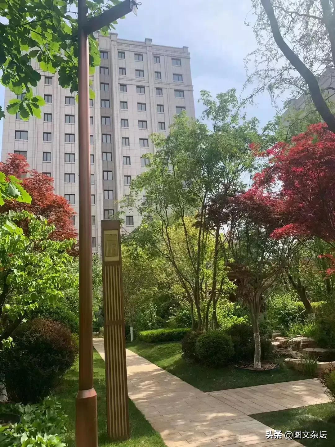 老婆赌钱输光被丈夫打,当老婆赌博输了该怎么安慰